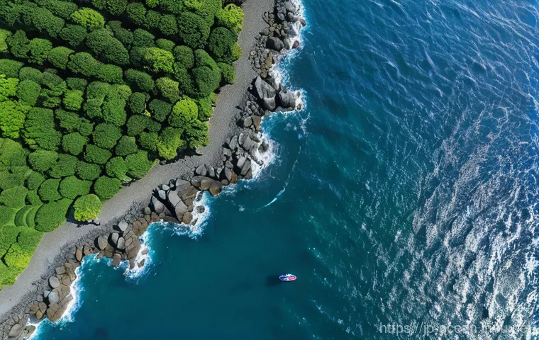 해양 보안 기술 - Image Prompt 1: AI-Powered Drone Protecting Japan's Coasts**